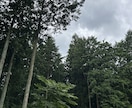 楽しい恋愛しよ！彼の事でもう悩まないで相談聞きます 恋愛は悩む事ではなく楽しむ事だよ イメージ5