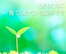 子育ての悩みや不安❗現役支援員が真心込めて伺います 教育現場で働く私が子育てや発達、園や学校のお話お聴きします イメージ7