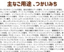 チラシフライヤー 販促物の提案 デザインいたします 店舗、ECでの販促画像、印刷物の提案、デザイン イメージ3