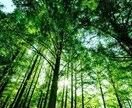発達障害グレーゾーンの悩みを聞きます 境界知能がゆえに困ること、ぶつかる壁、お話ししましょう。 イメージ1