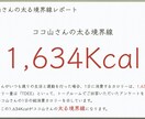 あなたの太る境界線を見つけます この境界線を知るまでは、ダイエットは始めないでください！ イメージ4