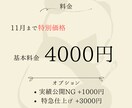 11月までの特別価格でチラシを制作します SNS運用の経験を活かし、届けたい人の心を掴むチラシを作成！ イメージ3