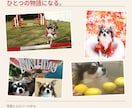 うちの子だけのオリジナルテーマ音楽＆動画を作ります 大切な思い出を、世界にひとつの音楽と映像にします イメージ2