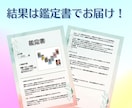 お金の悩み何でも占い！金銭面のモヤモヤ解決します FP占い師が占います！稼ぎ方・節約・金運の流れ…何でもOK イメージ2