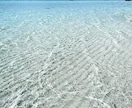 あなたの心の癒やしをサポートいたします 一歩踏出し心の平和を一緒に取り戻そう! イメージ1