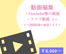 SNS用の動画からライブ映像まで！動画編集承ります カット、テロップ、エフェクト挿入等 ニーズにあわせて対応 イメージ1