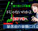 通貨強弱手法！FX個別コーチングします クロストレンド手法のデータ一式付き イメージ6