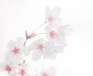 エネルギー鍼☆憂鬱な気分を前向きにさせます 錬金術によって開発されたエネルギー鍼です。 イメージ1