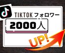 TikTokフォロワーを2000人増加します TikTokフォロワー宣伝します！保証有・増えるまで拡散！ イメージ1
