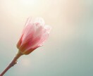 日々の生活や人間関係に疲れ気味の方の話し相手します なんか疲れちゃった!!ホロリと涙こぼそうな気分の時に電話して イメージ9