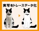 画像をベクターに丁寧にトレースします 印刷・加工・拡大に最適なAiデータに イメージ5
