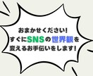 Instagramフォロワー2000人増加させます ☆インスタフォロワー＋2,000人～☆ターゲット：世界 イメージ3