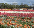 自分の話を聞いて欲しい！方の話しききます いつも聞き手側で自分の話をきいてほしい方の話し相手になります イメージ4