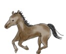 動物やアイテムなど単体のイラスト描きます ご指定の1点をイラストにします。要望ご相談ください。 イメージ2