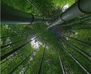 チャットで相談承ります☆お悩みを解決に導きます モヤモヤを脱出！不安解消　中高年男性を応援！ イメージ10
