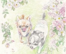 水彩色鉛筆で愛犬愛猫愛鳥の可愛いイラスト描きます 色とりどりのお花に囲まれ庭園にいるような優しい雰囲気の画風。 イメージ2