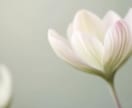 恋の迷いや不安に寄り添い、光をともします 相手の気持ちに揺れる心へ、そっと寄り添い光を届けます イメージ5