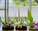 お花をペットポドルで飾れるように教えます 華道師範所有者が、華道の要素を活かして、お教えします。 イメージ6