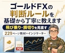 ゴールドFXの判断ルールを基礎から丁寧に教えます 飛び乗り・損切りを見直す｜229ページ教材＋インジケーター イメージ1