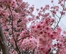 話すだけで楽になります！1分からでもお話し聴きます 職場、家族、友人関係にちょっと疲れた方 イメージ3