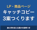 LP・商品ページのキャッチコピーを3案作ります 伝えたいことを整理して、読み手が迷わない言葉にします イメージ1