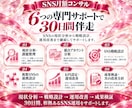 SNSの戦略・分析・改善を月額コンサルします 30日間SNS戦略支援｜最大2媒体・相談2回・分析レポート付 イメージ6