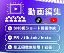 SNS用の魅力あるショート動画を作成します SNSやPR動画に最適な編集をお届け！ イメージ1