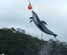 現役カウンセラーが秘密厳守でお話聞きます 愚痴、悩みを聞いて！肯定して！お酒を飲みながら！なんでもOK イメージ4