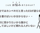 27卒就活生向け☆ガクチカ作成サポートします 学生時代に力を入れたことを一緒に整理します イメージ1