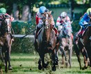 元大手競馬メディア社員が競馬予想記事を提供します 馬体診断や追い切りを担当していた独自の目線で出走馬を評価！ イメージ1
