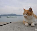 誰かとちょこっと話したいとき、1分でもお話聞きます 雑談から悩み事まで！お試し1分から！途中で切っても大丈夫！ イメージ2