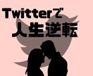 Twitterフォロワー増加1ヵ月コンサル致します あなたのアカウントが良い方向に変わる！ イメージ1