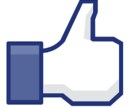 【再現性100％】Facebookでのマネタイズ方法を伝授します。いいねも増！稼げるまでサポートあり イメージ1