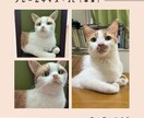 お部屋を彩る羊毛フェルト作品をお届けします 羊毛フェルトが生み出す、穏やかなインテリア空間 イメージ2