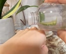 SNS用動画撮影･編集いたします ストーリーやリールで使える動画撮影･編集いたします♪ イメージ6