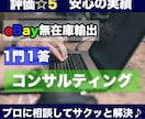 eBay、1問コンサル♪お困りの問題を解決します 悩んでいる時間はもったいない！プロに相談してサクッと解決♪ イメージ1