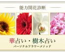 華占い・樹木占いであなたの魅力と魅せ方を伝えます 12種類のお華・樹木であなたがより輝くお手伝いをします。 イメージ1