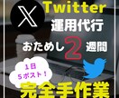 お試し2週間｜X(Twitter)の運用代行します 業者と思わせない！核心をつく1日5ツイートを戦略的に！ イメージ1