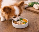 うちの子のごはん、これでいい？一緒に整理します ごはんの迷い、ひとつずつ一緒に整理します イメージ1
