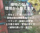 プロが植物の悩み解決します 初心者の方でも分かりやすく丁寧にアドバイスします イメージ3