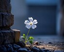 霊視で仕事運の停滞をなくし、人生好転へ導きます 職場やキャリアでの悩みに伴走し、一緒に解決の道を探します。 イメージ2