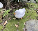 誰かへ送りたいプレゼント選びお手伝いします プレゼント選びはお任せ٩(๑ˆOˆ๑)۶ イメージ1