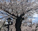 学校キャリア支援経験者が就活をサポートします キャリア支援経験者が行う就活支援！ イメージ1