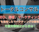 あなたのサイトのトータルコンサルを行います SEO、集客、マーケティング、販売促進、ワンストップコンサル イメージ1