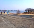 陸上競技1500m～5000mの結果を出させます 長距離(学生社会人)の伸び悩む全ての方々に練習計画アドバイス イメージ1