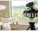30分まで3,000円⇒字幕・カット他編集します 素材30分以内なら字幕・テロップ・カット含めて編集します イメージ1