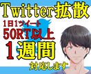 Twitter拡散：５０RT以上！7日間支援します 初出品限定価格！！7日間支援はココだけ！！ イメージ1