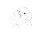 可愛いシンプルなイラストをかきます 鉛筆タッチの柔らかいイラストを作成させていただきます イメージ4