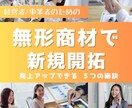 無形商材の新規開拓で売上UPできる動画を提供します 形の無い無形商材ならではの営業手法を具体的に解説！ イメージ1