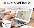 WEBで困った時のちょっとした相談乗ります 30分1,000円ピンポイントで相談できるお手軽WEB相談室 イメージ1